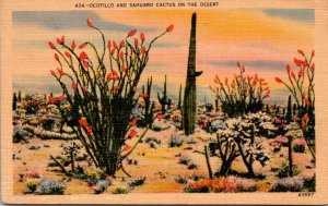 Cactus Ocotillo and Saguaro Cactus On The Desert