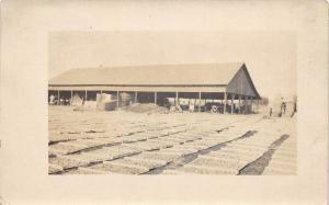 A98/ Occupational Postcard Men Job Real Photo RPPC c1910 Berry Farm? Shelter 8