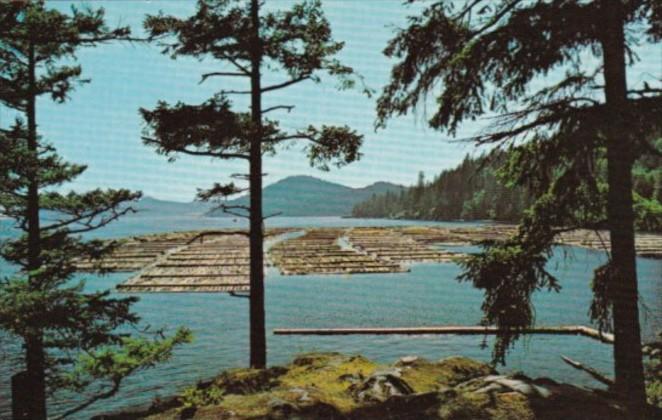 Canada Log Booming Grounds Vancouver Island British Columbia