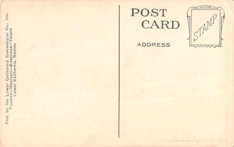 Tijuana Mexico Beer Hall Bar Interior Antique Postcard K29553 