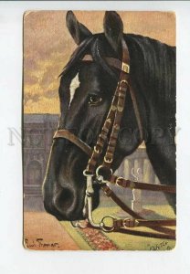 3182589 Head HORSE Trakehner-Hengst by THOMAS vintage TUCK PC