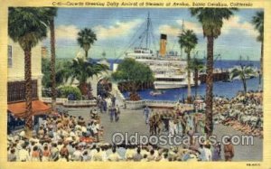 Santa Catalina, CA USA Steamer at Avalon, Ship Ocean Liners Unused 