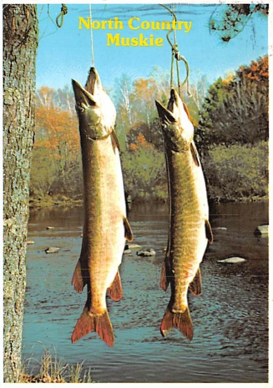 Muskie - 