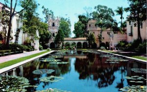 USA California San Diego Lagoon Balboa Park Vintage Postcard C224