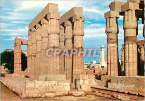 Postcard Modern Papyrus Columns in Luxor Temple