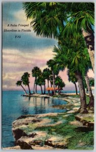 Postcard Daytona Florida FL Palm Shoreline Ocean Sunset 1954 Linen Color