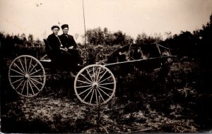 Horses Couple In Horse Drawn Wagon Real Photo