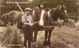 \Working Horses. Homeward Bound \ Nice antique English Postc