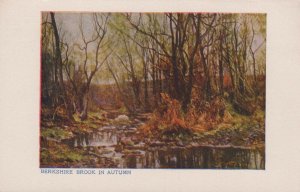 Berkshire Postcard - Nature - A Berkshire Brook in Autumn  RS24366