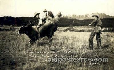 Myrtle Point, Oregon, USA Bucking Contest Myrtle Point, Oregon, USA Unused 