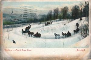 Horse Sleighing in Mount Royal Park - Montreal QC Quebec, Canada - pm 1905 - UDB