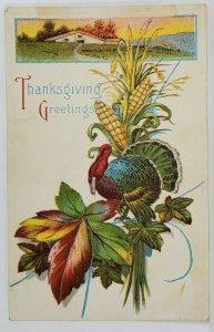 Thanksgiving Greetings Turkey Fall Foliage Corn Stalk Country Home Postcard T3