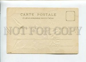 3156476 Cat KITTEN w/ Bow PORTRAIT Vintage Embossed PC