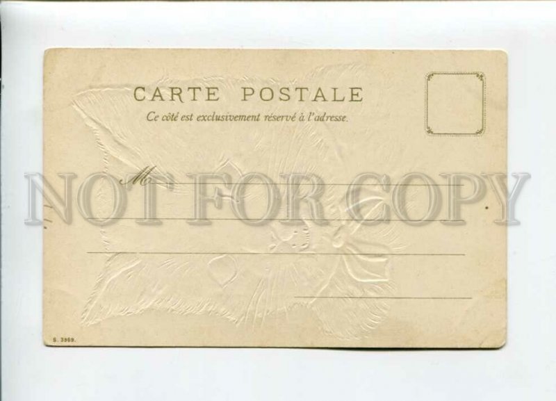 3156476 Cat KITTEN w/ Bow PORTRAIT Vintage Embossed PC