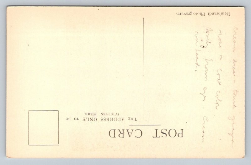 Lawrence  Painting  Mrs. Siddons   Postcard