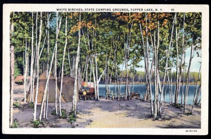 New York TUPPER LAKE White Birches State Camping Grounds LINEN