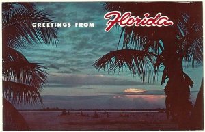 Coconut Palms Against The Setting Sun, Florida, Vintage 1974 Chrome Postcard