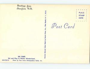 Unused Pre-1980 SKIING TOWARDS THE CHALET Stamford New York NY ho8297