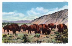 YELLOWSTONE NATIONAL PARK Haynes Linen Series. 21207.