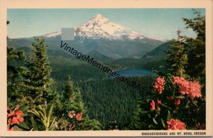 Rhododendrons and Mt. Hood Oregon Postcard PC360