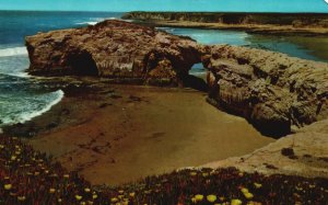 Vintage Postcard Natural Bridges State Park West Cliff Santa Cruz California CA