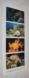 Cayman Islands B.W.I. Strange Beauty Oversize Postcard 1992