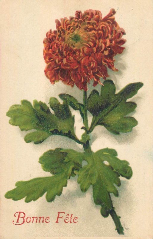 Floral vintage greetings postcard Happy Holiday orange flower Belgium