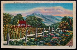 Vintage Postcard 1930-1945 Sharp Top Mountain, Great Smoky Mountains, Tenn