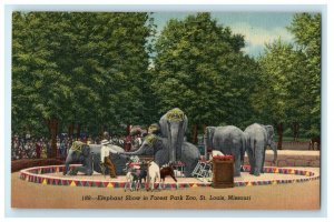 c1940's Elephant Show In Forest Park Zoo St. Louis Missouri MO Vintage Postcard