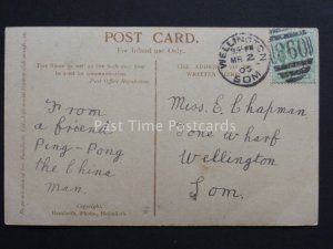 Somerset: c1905 Wellington / Som DUPLEX (860) Postmark