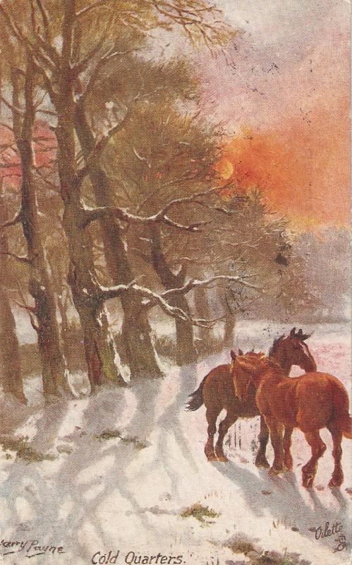 Harry Payne. Horses. In Cold Quarters Tuck Oilette PC # 1038