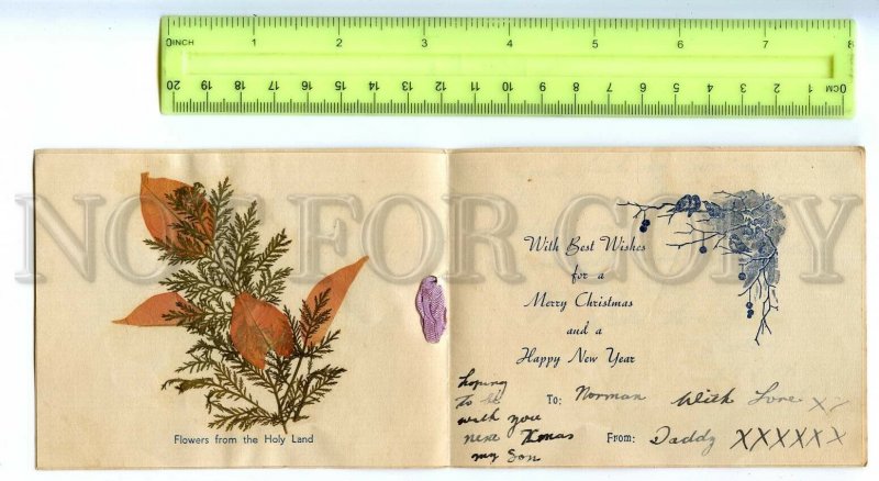 496035 Palestine BETHLEHEM New eight-page card bird herbarium flower applique