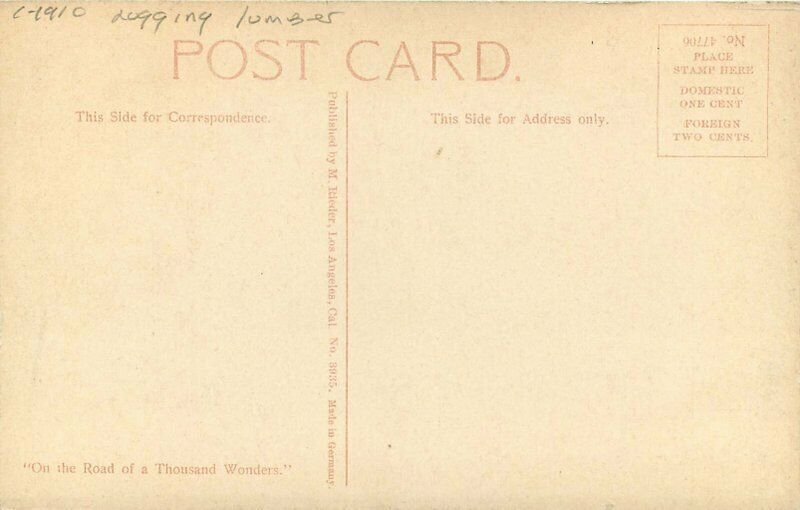 C-1910 Logging Lumber Scene Oregon Rieder # 3935 Postcard 20-4926