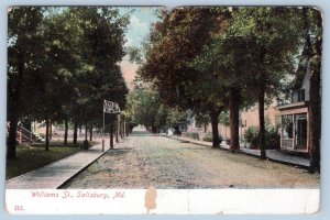 1910's WILLIAMS STREET SALISBURY MARYLAND MD DIRT ROAD HOUSES BANNER POSTCARD