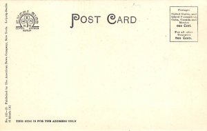 Jersey Bull Cattle Unused 