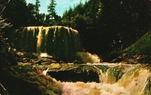 Postcard Blackwater Falls Skiing Hotels Motels Restaurants Davis West Virginia