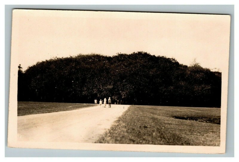 Vintage 1910's RPPC Postcard - People Walking Down Country Road