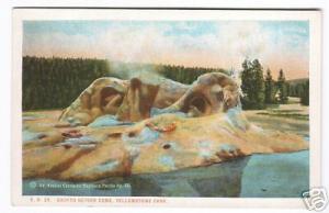 Grotto Geyser Yellowstone National Park 1920s postcard