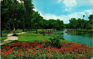 Glass Bottom Boats Silver River Florida Springs Lke Wales Cancel c1972 Postcard 