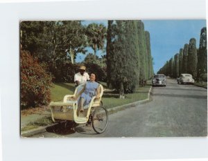 Postcard A Delightful View Of Beautiful Wells Road, Palm Beach, Florida