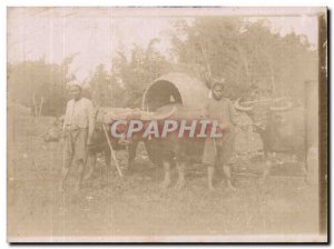 Old Postcard Map Photo Asia October 1902 has Ankor very rare paper Oxen Breeding