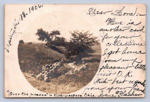 K1/ Shandon Ohio RPPC Postcard c1910 Rare Cancel Meadow Butler County 148