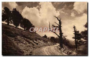 Old Postcard Col de Vergio Corsica Corsica