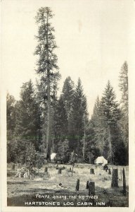 Postcard RPPC 1920s California Potter Valley Mendocino Log Cabin Inn  24-99