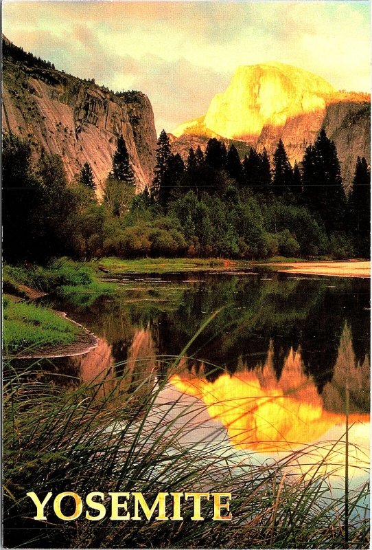 VINTAGE CONTINENTAL SIZE POSTCARD HALF DOME YOSEMITE NATIONAL PARK CALIFORNIA