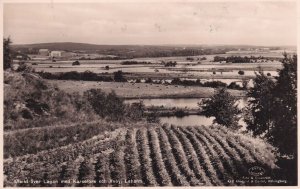 Laholm Sweden Swedish Vintage Landscape Real Photo Postcard