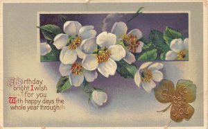 B230 Birthday Greetings Flowers Shamrock Passepartout vintage postcard