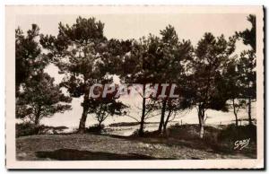 Old Postcard Saint Brevin I & # 39Ocean Sea through the Pines