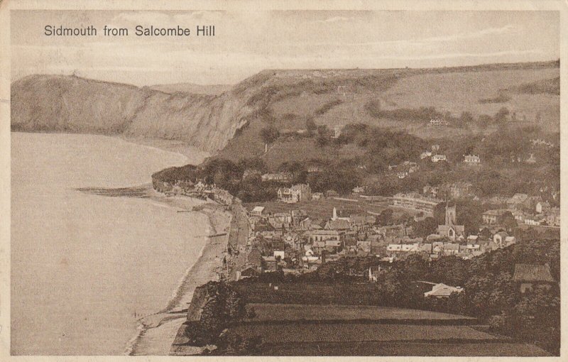 SIDMOUTH FROM SALCOMBE BAY, Devon - Vintage POSTCARD