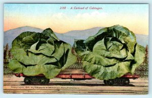 3 Exaggeration Postcards CARLOAD of CORN, CABBAGE & TOMATOES 1910 Mitchell